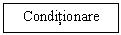 Text Box: Conditionare

