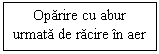 Text Box: Oparire cu abur
urmata de racire in aer
