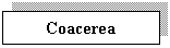 Text Box: Coacerea