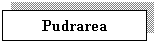 Text Box: Pudrarea