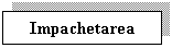 Text Box: Impachetarea