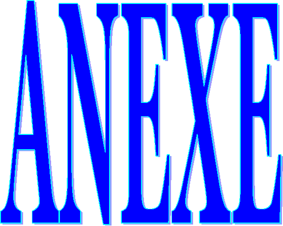 ANEXE