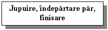 Text Box: Jupuire, indepartare par,
finisare

