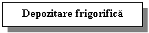 Text Box: Depozitare frigorifica