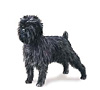 Affenpinscher