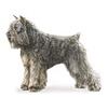 Bouvier des Flandres