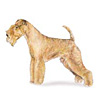 Lakeland Terrier