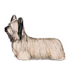 Skye Terrier