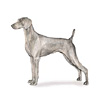 Weimaraner