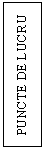 Text Box: PUNCTE DE LUCRU