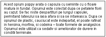 Text Box: Acest opium poppy arata o capsula cu seminte cu o floare matura in fundal. Opiumul este colectat dupa ce petalele florii au cazut. Se fac niste despartituri pe lungul capsulei, permitand latexului sa iasa afara si sa se intareasca. Dupa ce opiumul de plastic, cauciucat este indepartat, el poate rafinat in heroina, morfina, si codeina - toate formele de analgezice. Opiumul este utilizat ca sedativ si ameliorator de durere in conditii terminale.


