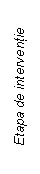 Text Box: Etapa de interventie