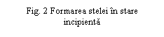 Text Box: Fig. 2 Formarea stelei in stare incipienta