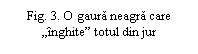 Text Box: Fig. 3. O gaura neagra care 