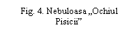 Text Box: Fig. 4. Nebuloasa 