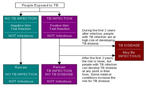  Figure 1.5 Image of Progression of TB