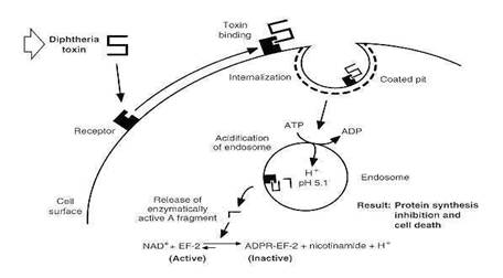 fig32_5