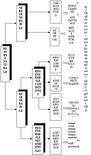 Text Box: Fig. 2 Clasificarea resurselor naturale furnizate de capitalul natural (dupa D. Cogalniceanu, 1999),Text Box: RESURSE NATURALE,Text Box: NEREGENERABILE,Text Box: FLUXURI DE RESURSE ABIOTICE,Text Box: CICLURI DE RESURSE ABIOTICE,Text Box: RESURSE BIOTICE,Text Box: RESURSE COMPLEXE,Text Box: MINEREURI,Text Box: COMBUSTIBILI FOSILI,Text Box: REGENERABILE,Text Box: energie solara
energie eoliana
energia mareelor
energiE geotermala
,Text Box: REGENERABILE CONDITIONAT,Text Box: REGENERABILE NECONDITIONAT,Text Box: CIRCUITUL
HIDROLOGIC
N, P, CO2, O2
,Text Box: COPACI
PESTI
PLANTE
,Text Box: ECOSISTEME
SOLURI
,Text Box: METALICE NEMETALICE,Text Box: PETROL
CARBUNE
GAZE NATURALE
