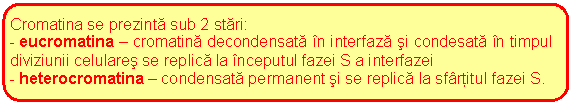 Rounded Rectangle: Cromatina se prezinta sub 2 stari:
- eucromatina - cromatina decondensata in interfaza si condesata in timpul diviziunii celulares se replica la inceputul fazei S a interfazei
- heterocromatina - condensata permanent si se replica la sfartitul fazei S.

