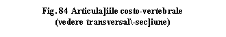 Text Box: Fig. 84 Articula]iile costo-vertebrale
(vedere transversal-sec]iune)
