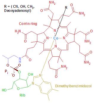 Imagine:VitaminB12.png