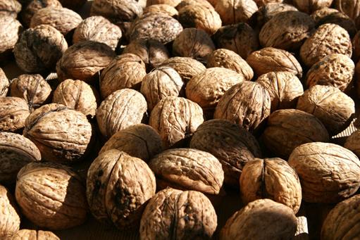 Image:Walnuts02.jpg