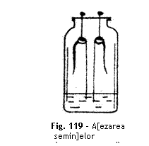 Text Box:  
Fig. 119 - A[ezarea semin]elor
`n camera umed
