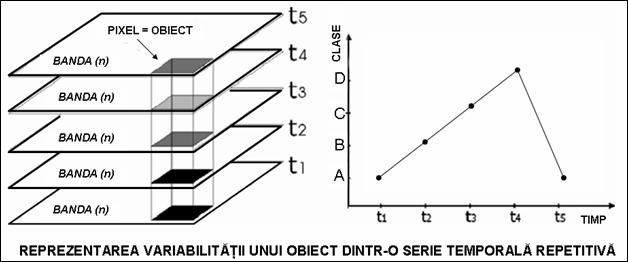 variabilitatea functiei