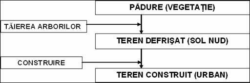 schema interventie antropica