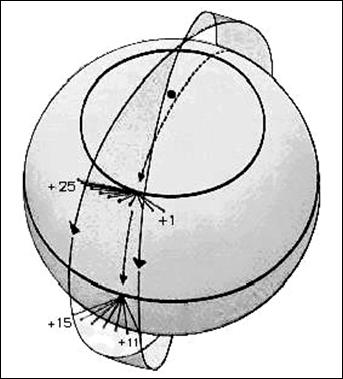 orbite