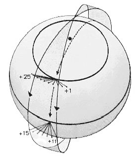 orbite