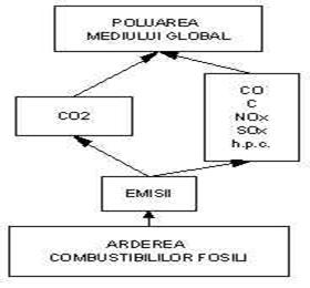 Figura 1