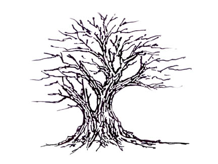 Pruning I 72dpi 6x4inch master.jpg (25758 bytes)