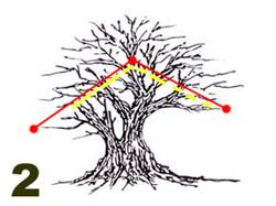 Pruning example 2 lower broad crown.jpg (15868 bytes)