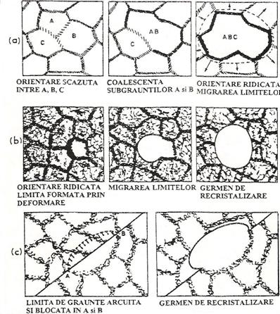 C:Documents and SettingsRaduDesktopscan0007.JPG