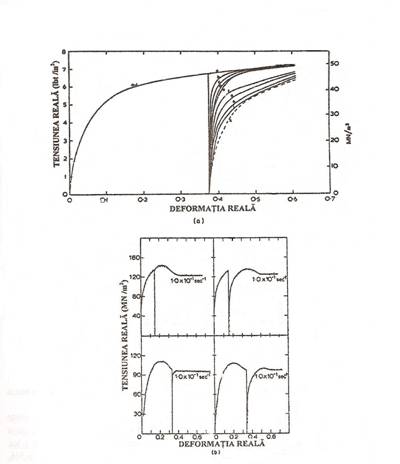 C:Documents and SettingsRaduDesktopscan0002.JPG