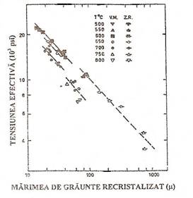 C:Documents and SettingsRaduDesktopscan0005.JPG