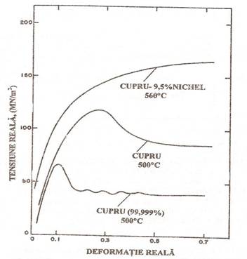 C:Documents and SettingsRaduDesktopscan0004.JPG