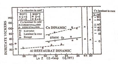 C:Documents and SettingsRaduDesktopscan0004.JPG