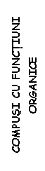 Text Box: COMPUSI CU FUNCTIUNI ORGANICE