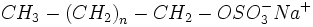 CH_3-left (CH_2right)_n-CH_2-OSO_3^-Na^+