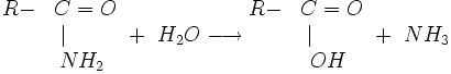 beginR-&C=O&|qquad&NH_2 end + H_2O longrightarrow beginR-&C=O&|qquad&OH end + NH_3