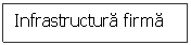 Text Box: Infrastructura firma

