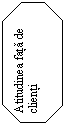 Octagon: Atitudinea fata de clienti

