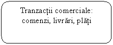 Rounded Rectangle: Tranzactii comerciale: comenzi, livrari, plati