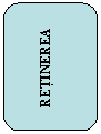 Rounded Rectangle:      RETINEREA
