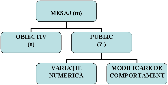 Organization Chart