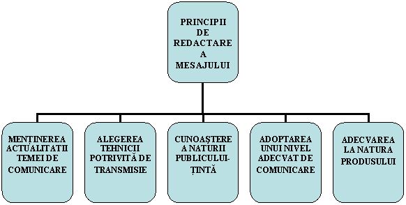 Organization Chart