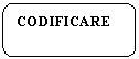 Rounded Rectangle: CODIFICARE