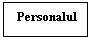 Text Box:  Personalul 